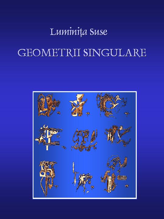 Luminiţa Suse - Geometrii singulare